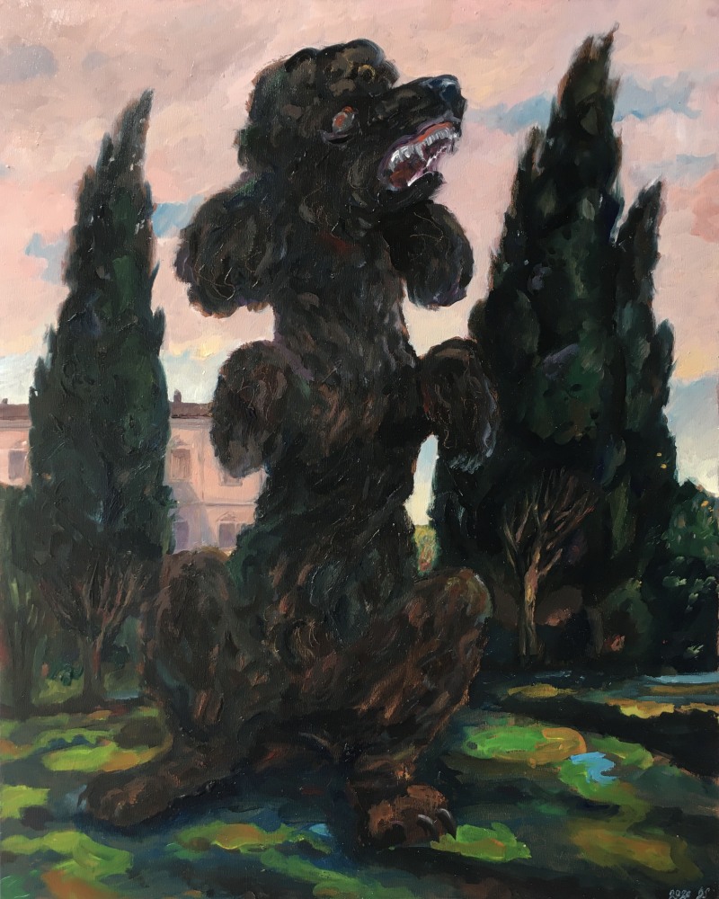 Aggro poodle, oil on wood, 2020