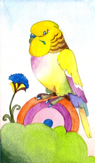 Budgie, watercolor, 2011